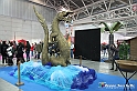 VBS_4497 - Festival dell'Oriente 2022